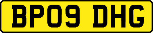 BP09DHG