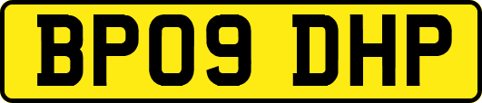 BP09DHP