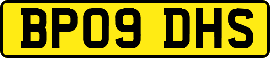 BP09DHS