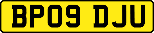 BP09DJU