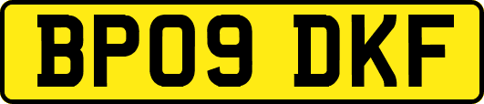 BP09DKF