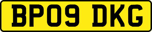 BP09DKG