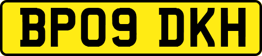 BP09DKH