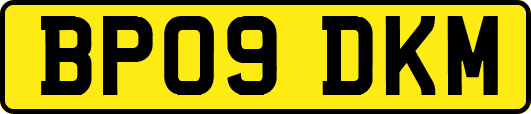 BP09DKM