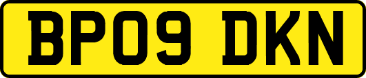 BP09DKN