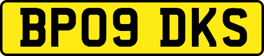 BP09DKS