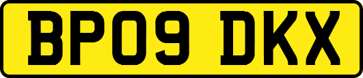 BP09DKX