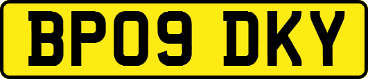 BP09DKY