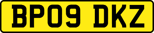 BP09DKZ