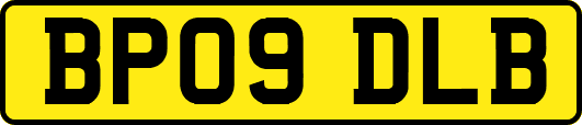 BP09DLB