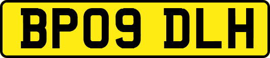 BP09DLH