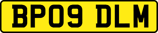 BP09DLM