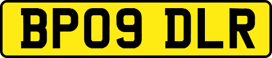 BP09DLR