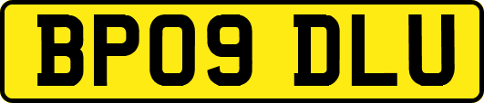 BP09DLU