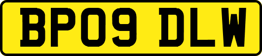 BP09DLW