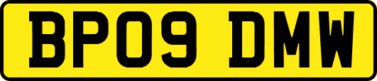BP09DMW