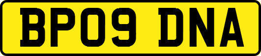 BP09DNA
