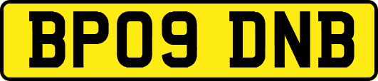 BP09DNB