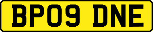 BP09DNE