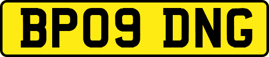 BP09DNG