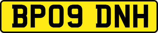 BP09DNH