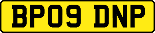 BP09DNP