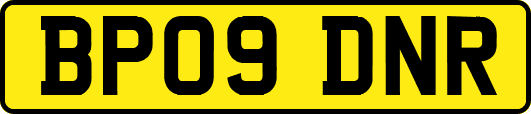 BP09DNR