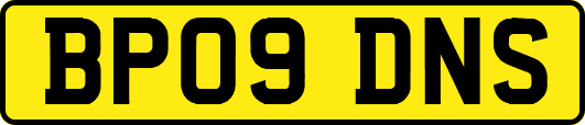 BP09DNS