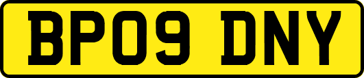 BP09DNY