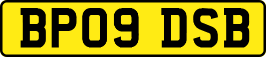 BP09DSB