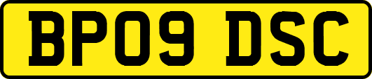 BP09DSC