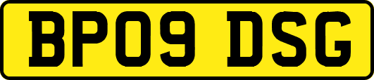BP09DSG