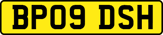 BP09DSH