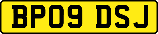BP09DSJ
