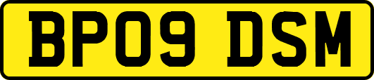 BP09DSM