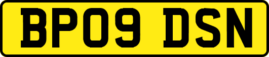 BP09DSN