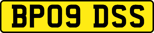 BP09DSS