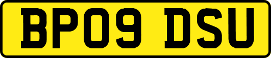 BP09DSU