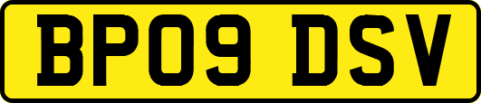 BP09DSV