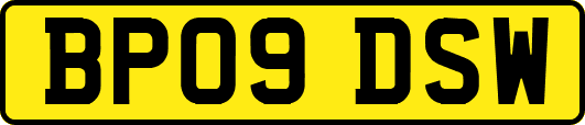 BP09DSW