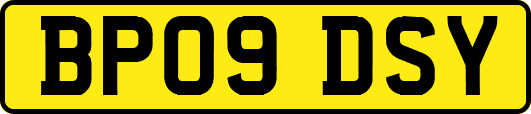 BP09DSY