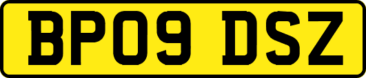 BP09DSZ