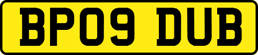 BP09DUB
