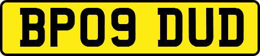 BP09DUD