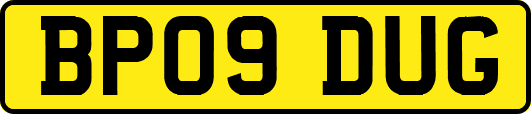 BP09DUG