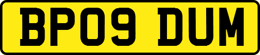 BP09DUM