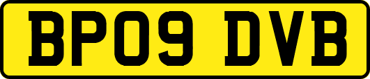 BP09DVB