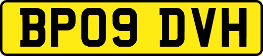 BP09DVH