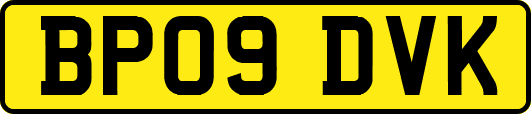 BP09DVK