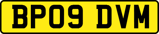 BP09DVM